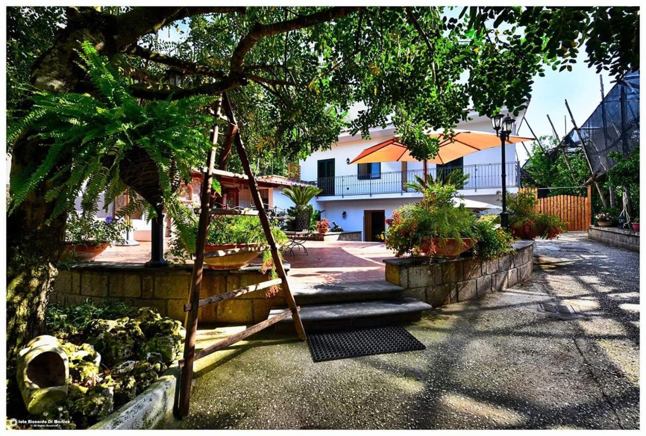 Soso Bed & Breakfast Sorrento Ngoại thất bức ảnh